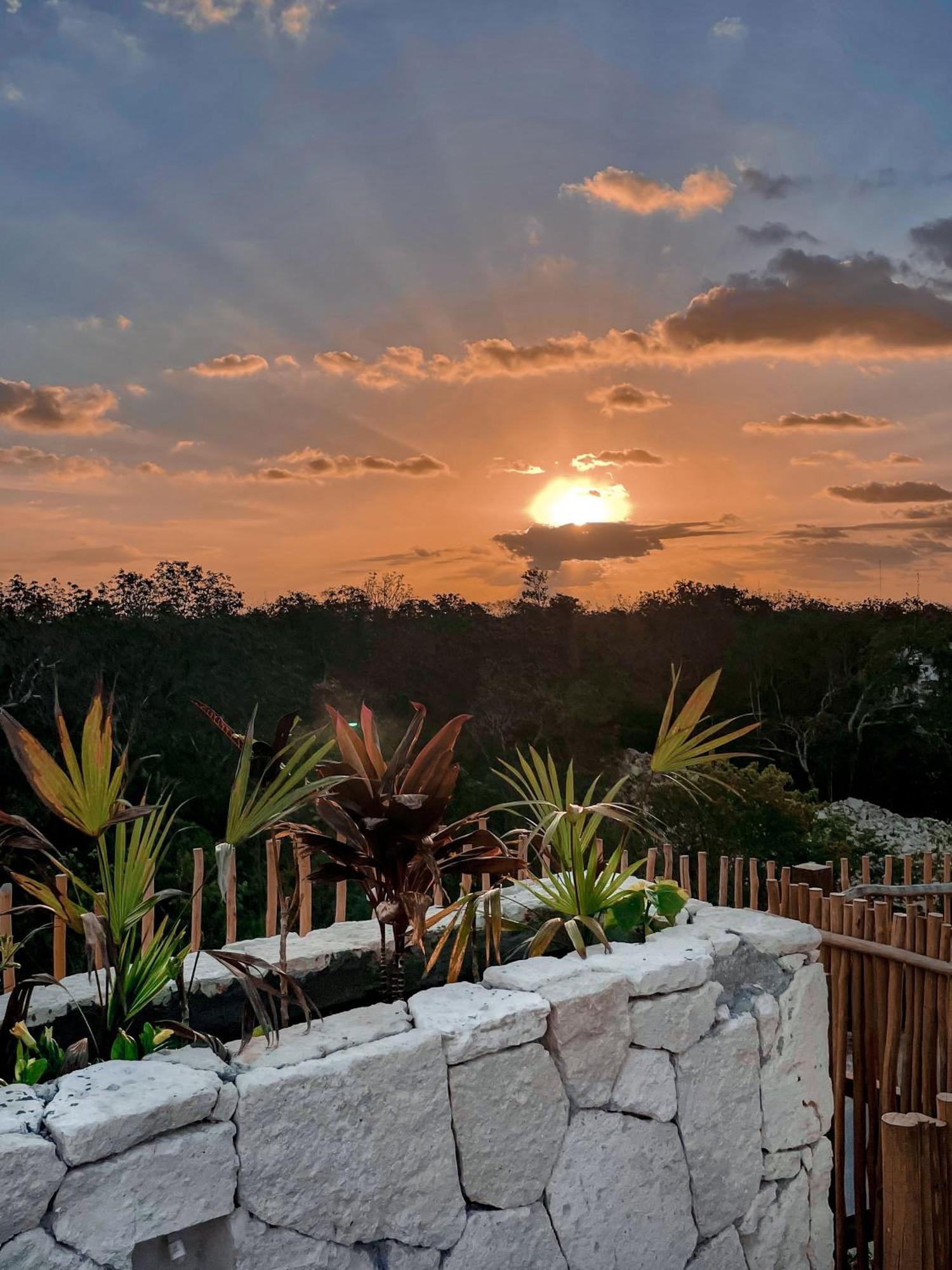 Jungle Boho Designer Apart 11 W50 Off Access Hotel Bardo Tulum Esterno foto